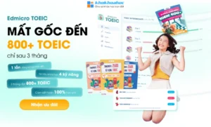 Khóa Học Làm Chủ Adobe Illustrator Từ Cơ Bản Đến Nâng Cao Cùng Color ME