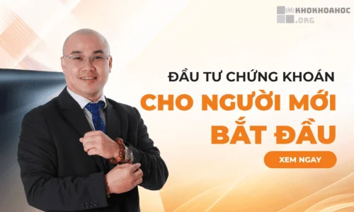 Share Khóa Học Đầu Tư Chứng Khoán Cho Người Mới Bắt Đầu